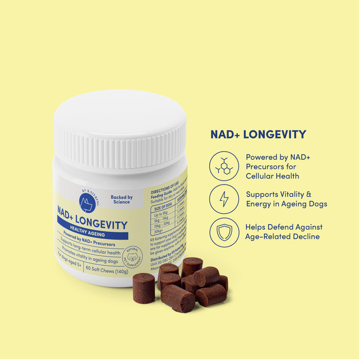 NAD+ Longevity