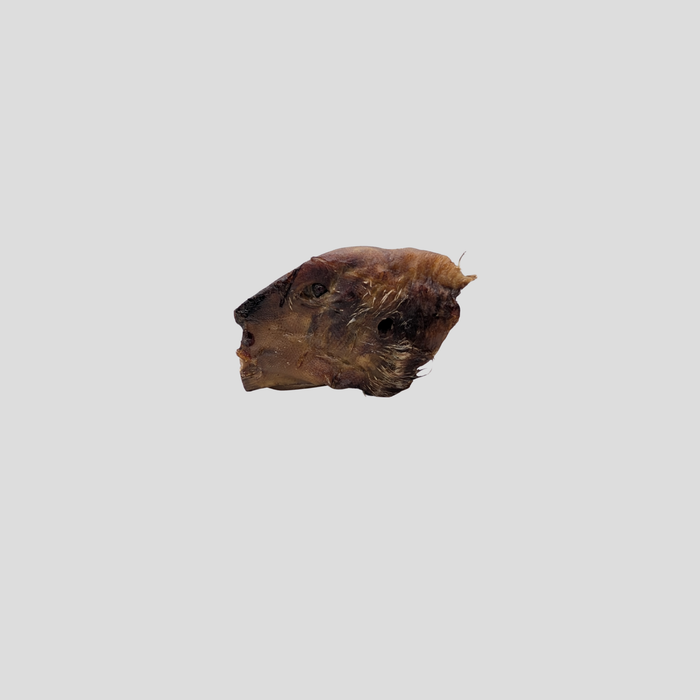 Duck Heads (Beakless)