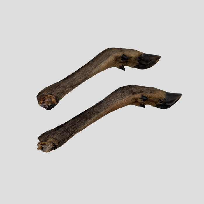 Venison Legs