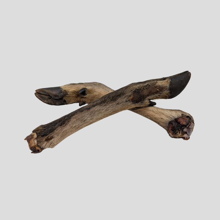 Venison Legs