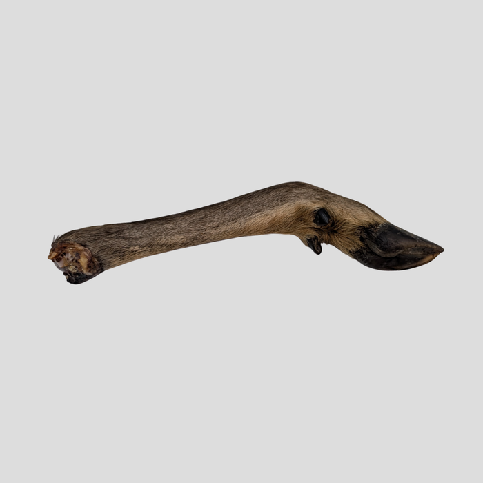 Venison Legs